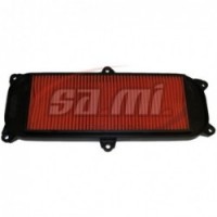 FILTRO ARIA KYMCO PEOPLE/S 250/300 03-
