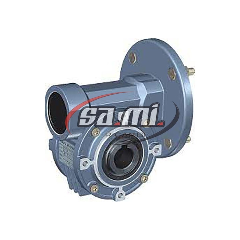 RIDUTTORE VITE S.F. MRDB 049 PAM 63 B14 I:10 FORO USCITA 25 MM PENDOLARE ELLE.GI