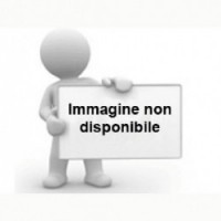 VETRO FRECCIA POSTERIORE DX BOOSTER BERGAMASCHI