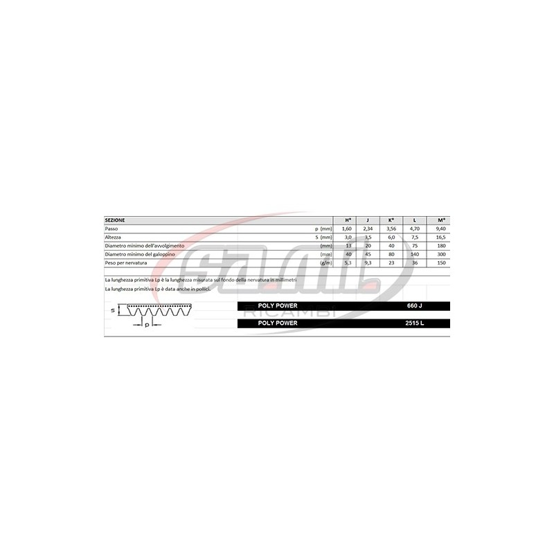 CINGHIA SEZIONE A - Fratelli Palumbo srl CINGHIA SEZIONE A - Fratelli Palumbo srl
